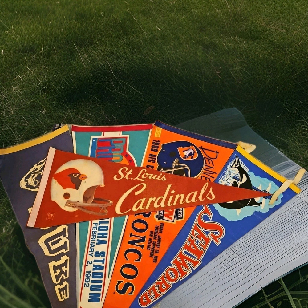 Vintage MLB St. Louis Cardinals Felt Pennant 30" x 12" 80s 90s